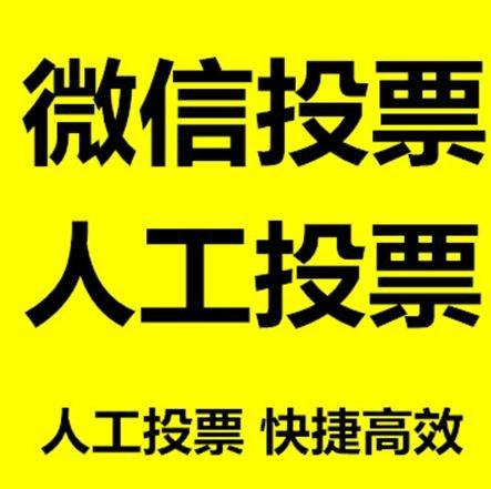 朔州市投票活动拉票能被查出来吗？如何操作能不被发现？